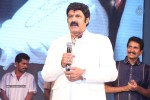 Legend Movie 50 Days Success Meet 03 - 6 of 68
