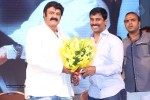 Legend Movie 50 Days Success Meet 03 - 14 of 68