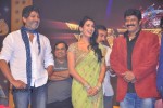 Legend Movie Audio Launch 04 - 57 of 117