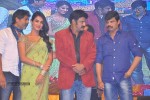 Legend Movie Audio Launch 04 - 48 of 117