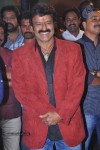 Legend Movie Audio Launch 06 - 89 of 122