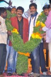 Legend Movie Audio Launch 07 - 29 of 74