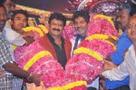 Legend Movie Audio Launch 07 - 37 of 74