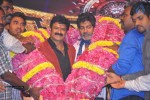 Legend Movie Audio Launch 07 - 42 of 74