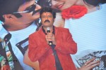 Legend Movie Audio Launch 07 - 65 of 74