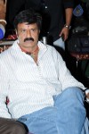 Legend Movie Success Meet 01 - 39 of 152