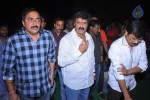 Legend Movie Success Meet 01 - 48 of 152