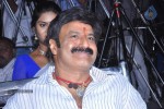 Legend Movie Success Meet 01 - 61 of 152