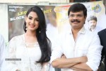 Legend Movie Success Meet - 24 of 70