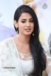 Legend Movie Success Meet - 29 of 70