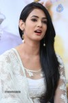 Legend Movie Success Meet - 30 of 70