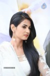 Legend Movie Success Meet - 40 of 70