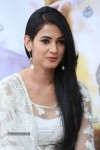 Legend Movie Success Meet - 28 of 70
