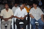 Lemon Movie Audio Launch - 16 of 29