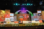 Lion Movie Audio Launch 01 - 13 of 36