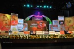 Lion Movie Audio Launch 01 - 23 of 36