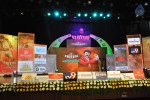 Lion Movie Audio Launch 01 - 25 of 36