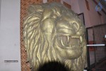 Lion Movie Audio Launch 01 - 28 of 36
