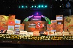 Lion Movie Audio Launch 01 - 32 of 36