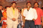 Lion Movie Audio Launch 05 - 60 of 63
