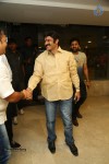 Lion Movie Success Meet 01 - 18 of 107