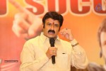 Lion Movie Success Meet 02 - 30 of 64