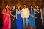 Lion Movie Success Meet 02 - 63 of 64
