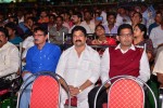 Loukyam Movie Audio Launch 01 - 8 of 205