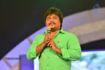 Loukyam Movie Audio Launch 01 - 20 of 205