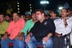 Loukyam Movie Audio Launch 01 - 29 of 205