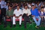 Loukyam Movie Audio Launch 01 - 39 of 205