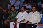 Loukyam Movie Audio Launch 01 - 55 of 205