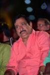 Loukyam Movie Audio Launch 01 - 67 of 205