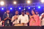 Loukyam Movie Audio Launch 01 - 97 of 205