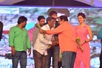 Loukyam Movie Audio Launch 01 - 135 of 205