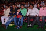 Loukyam Movie Audio Launch 01 - 157 of 205