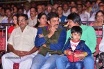 Loukyam Movie Audio Launch 01 - 175 of 205