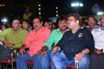 Loukyam Movie Audio Launch 01 - 176 of 205