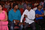 Loukyam Movie Audio Launch 01 - 187 of 205