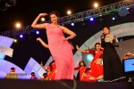 Loukyam Movie Audio Launch 02 - 24 of 205