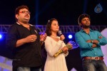 Loukyam Movie Audio Launch 02 - 113 of 205