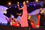 Loukyam Movie Audio Launch 02 - 139 of 205