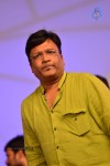 Loukyam Movie Audio Launch 02 - 161 of 205