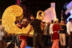 Loukyam Movie Audio Launch 02 - 182 of 205