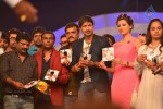 Loukyam Movie Audio Launch - 16 of 47