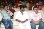 Loukyam Movie Vijayotsavam at Khammam - 128 of 391