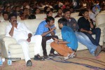 Loukyam Movie Vijayotsavam at Khammam - 137 of 391