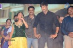 Loukyam Movie Vijayotsavam at Khammam - 160 of 391