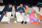 Loukyam Movie Vijayotsavam at Khammam - 168 of 391