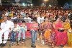 Loukyam Movie Vijayotsavam at Khammam - 188 of 391